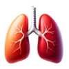 Lung Cancer